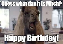 Hump day & your birthday. Hump Day Camel Imgflip