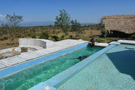 427 likes · 39 talking about this · 7 were here. Kiira Cottage Kedong Naivasha Holiday Home In Longonot Naivasha Sapama