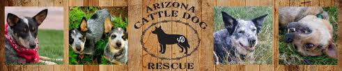 Vaccinations clinic in flagstaff, az. Support Acdr Arizona Cattle Dog Rescue