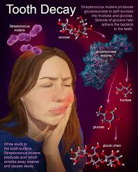 Medical Illustration Senior Showcase