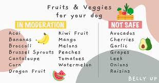 We did not find results for: Can My Dog Eat This A List Of Supermarket Fruits Vegetables Your Dog Can Eat Belly Up