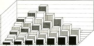 Image result for Endostemon tereticaulis