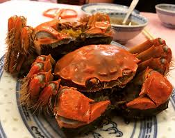 El videoclip actualmente no tiene descripcion personal, sin embargo tiene su biografia del autor/es del video actual. Mufti Wilayah Jelaskan Hukum Makan Ketam Bulu Penggemar Makanan Laut Wajib Tahu Kesah Benar