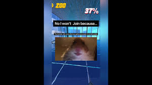 Click images to large view funny hamsters 20 pics. Hamster Cult Pfp Needs To Stop Youtube