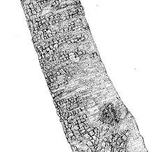 Image result for Julbernardia paniculata