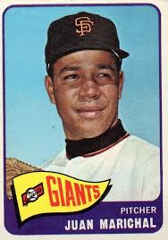 Randy Johnson's Perfect Game and Fantasy Team Experience