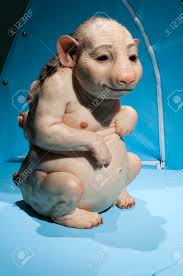 Patricia piccinini is an australian artist who works in a variety of media, including painting, video, sound, installation, digital prints,. Zeitgenossische Wachsskulptur Von Patricia Piccinini Aus Der Kunstausstellung Mit Dem Titel Hold Me Am Herzen Liegt Bei Arter Gallery Istanbul Lizenzfreie Fotos Bilder Und Stock Fotografie Image 30948317