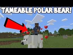 How To Tame Ride And Control Llamas In Minecraft Pocket Edition Youtube Minecraft Crafts Minecraft Houses Survival Minecraft