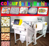 Garlic color sorter machine - APS Industries