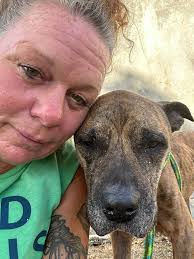 Senior Dog Needs Foster or Adopter for End of Life Care