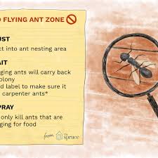 Yesterday when i was looking at the 4 year old me in the old photographs i saw that cute smile on her face and those crystal clear eyes. What To Do About Flying Ants In Your Home