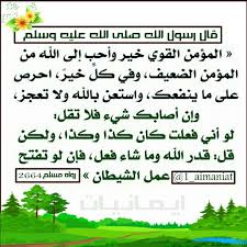 كنز الأطفال السنن صحيح مسلم صحيح البخاري قروب المشتاقون للجنة تصاميم اعضاء القروب الدنيا ساعة أجعلها طاعة كن بالدنيا كأنك غريب أو Herbs Parsley Food
