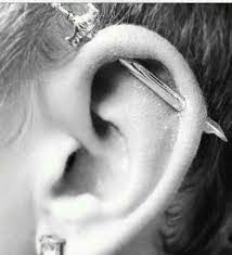 I Love And Want This So Bad Piercings Piercings Unique Piercing