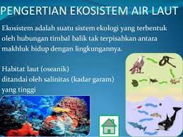 Ekosistem Air Laut Fakta Jenis Serta Manfaatnya Postmedya