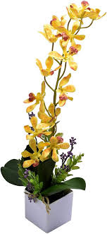 Each year a phalaenopsis will grow one or two new leaves. Buy Yatai Artificial Phalaenopsis Orchid Flower Plant Leaves Branches Artificial Plants Yellow Online Shop Home Garden On Carrefour Uae