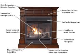 They're typically metal boxes with glass fronts some have blowers that force heated air into the room instead of up the chimney. Duluth Forge Dual Fuel Ventless Gas Fireplace 32 000 Btu Remote Control Auburn Cherry Finish Factory Buys Direct