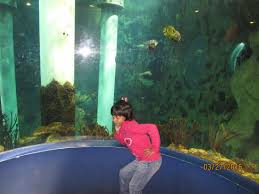 Aquarium Picture Of Khalifa Park Abu Dhabi Tripadvisor