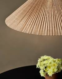 Image result for Autumn Gold Light 1972 Caloric