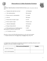 The problems may be selected from easy, medium or hard level of difficulty. 9 3 Fermentation Name Biology