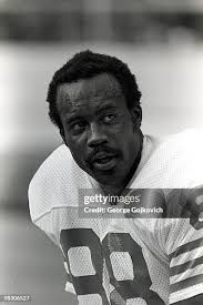 10,106 Wide 88 Stock Photos, High-Res Pictures, and Images