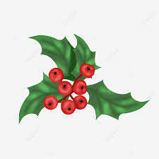 Christmas Holly Clip Art Mistletoe Clipart Christmas Holly Holly Plant Png Transparent Clipart Image And Psd File For Free Download Over 13,627 mistletoe pictures to choose from, with no signup needed. christmas holly clip art mistletoe