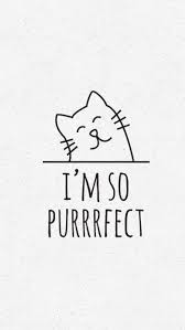 Minion Washing Ver Iphone Wallpaper Cat Wallpaper Lettering Cat Quotes