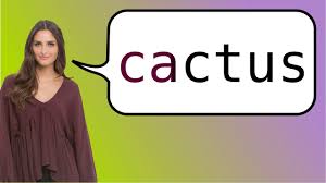 Translate french documents to english in multiple office formats (word, excel, powerpoint, pdf, openoffice, text) by simply uploading them into our free online translator. How To Say Cactus In French Youtube