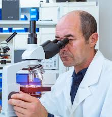 The Babraham Research Campus