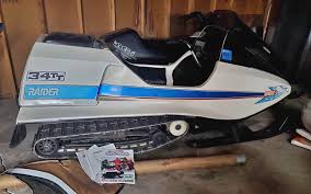 Image result for Arctic White 1973 Snowmobile