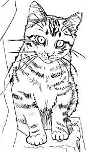 In order to do this, simply move the cursor over the image you like and coloring page with a realistic cat during a walk. Kitten Coloring Pages Kittens Coloring Cat Coloring Page Animal Coloring Books