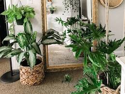 Con la decoración con plantas harás que tu hogar sea más verde y sentirás la naturaleza más cercana a ti. Ideas Para Decorar Tu Casa Con Canastas Y Plantas Actitudfem