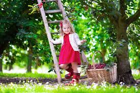 Shot arri alexa cinema camera. Girl S Red Dress Summer Cherry Mood Child Garden Dress Ladder Girl Hd Wallpaper Wallpaperbetter