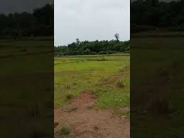 Tehsil of bankura district in west bengal,india. 10 Bigha Agriculture Land In Nimtikari Kanksa Burdwan M 9002682772 Youtube Tourist Spots Agricultural Land Side Road