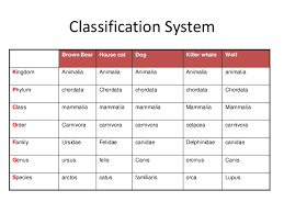 03 Taxonomy