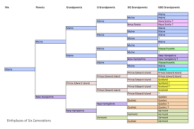 Pine Trees And Pedigrees Saturday Night Genealogy Fun