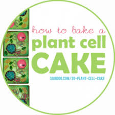 Realize original and creative concepts from professional and. 3d Plant Cell Cakes Hubpages