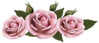 Rose Pink Clip Art Light Pink Rose Png Clipart Pink Rose Png Flower Prints Rose