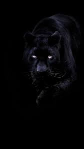 We did not find results for: Green Eyes Black Panther Black Panther Animals Hd Wallpaper Peakpx