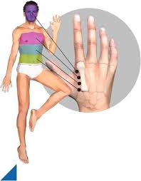Master Tung Hand Acupuncture Acupressure Treatment