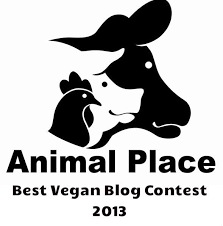 Pin On All Things Vegan