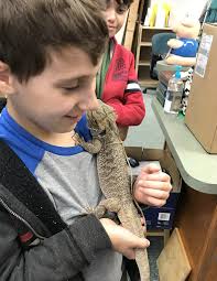 Berks County Public Libraries 2022 Annual Report