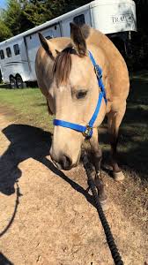 love my girl 🥰🥰