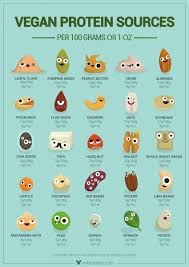 Vegan Protein Sources Adorable Graphic Vegan Protein Sources Vegetarian Vegan Recipes Vegan Foods