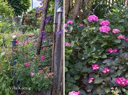 Ein Gartenbesuch Garten Outdoor Dekorationen Kleine Garten