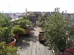 Dachgarten Dachterasse Blumen Straucher Aussicht Patio Garten Terrassengarten Dachgarten