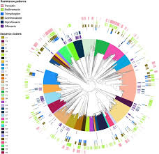 Image result for Penicillin Resistant Pneumococcus