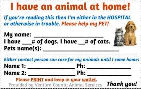 Diy Pet Care Emergency Wallet Card Pet Emergency Diy Pet Care Pets
