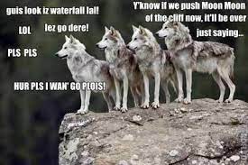 Moon Moon Meme