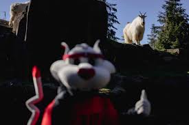 Portland Trail Blazers added a...