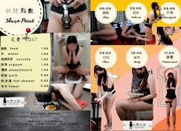 훈련의 삶 - 은밀한 지배의 기술을 경험하세요